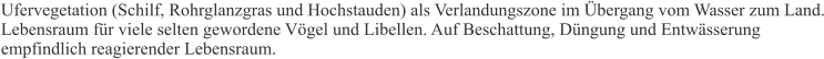 Ufervegetation (Schilf, Rohrglanzgras und Hochstauden) als Verlandungszone im Übergang vom Wasser zum Land. Lebensraum für viele selten gewordene Vögel und Libellen. Auf Beschattung, Düngung und Entwässerung empfindlich reagierender Lebensraum.