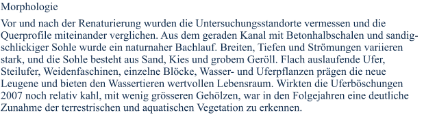 Morphologie Vor und nach der Renaturierung wurden die Untersuchungsstandorte vermessen und die Querprofile miteinander verglichen. Aus dem geraden Kanal mit Betonhalbschalen und sandig-schlickiger Sohle wurde ein naturnaher Bachlauf. Breiten, Tiefen und Strömungen variieren stark, und die Sohle besteht aus Sand, Kies und grobem Geröll. Flach auslaufende Ufer, Steilufer, Weidenfaschinen, einzelne Blöcke, Wasser- und Uferpflanzen prägen die neue Leugene und bieten den Wassertieren wertvollen Lebensraum. Wirkten die Uferböschungen 2007 noch relativ kahl, mit wenig grösseren Gehölzen, war in den Folgejahren eine deutliche Zunahme der terrestrischen und aquatischen Vegetation zu erkennen.