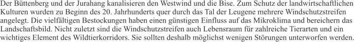 Der Büttenberg und der Jurahang kanalisieren den Westwind und die Bise. Zum Schutz der landwirtschaftlichen Kulturen wurden zu Beginn des 20. Jahrhunderts quer durch das Tal der Leugene mehrere Windschutzstreifen angelegt. Die vielfältigen Bestockungen haben einen günstigen Einfluss auf das Mikroklima und bereichern das Landschaftsbild. Nicht zuletzt sind die Windschutzstreifen auch Lebensraum für zahlreiche Tierarten und ein wichtiges Element des Wildtierkorridors. Sie sollten deshalb möglichst wenigen Störungen unterworfen werden.