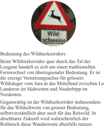 Bedeutung des Wildtierkorridors Beim Wildtierkorridor quer durch das Tal der Leugene handelt es sich um einen traditionellen Fernwechsel von überregionaler Bedeutung. Er ist die einzige Vernetzungsachse für grössere Wildsäuger vom Jura in das Mittelland zwischen Le Landeron im Südwesten und Niederbipp im Nordosten. Gegenwärtig ist der Wildtierkorridor insbesondere für das Wildschwein von grosser Bedeutung, selbstverständlich aber auch für das Rehwild. In absehbarer Zukunft wird wahrscheinlich der Rothirsch diese Wanderroute ebenfalls nutzen.